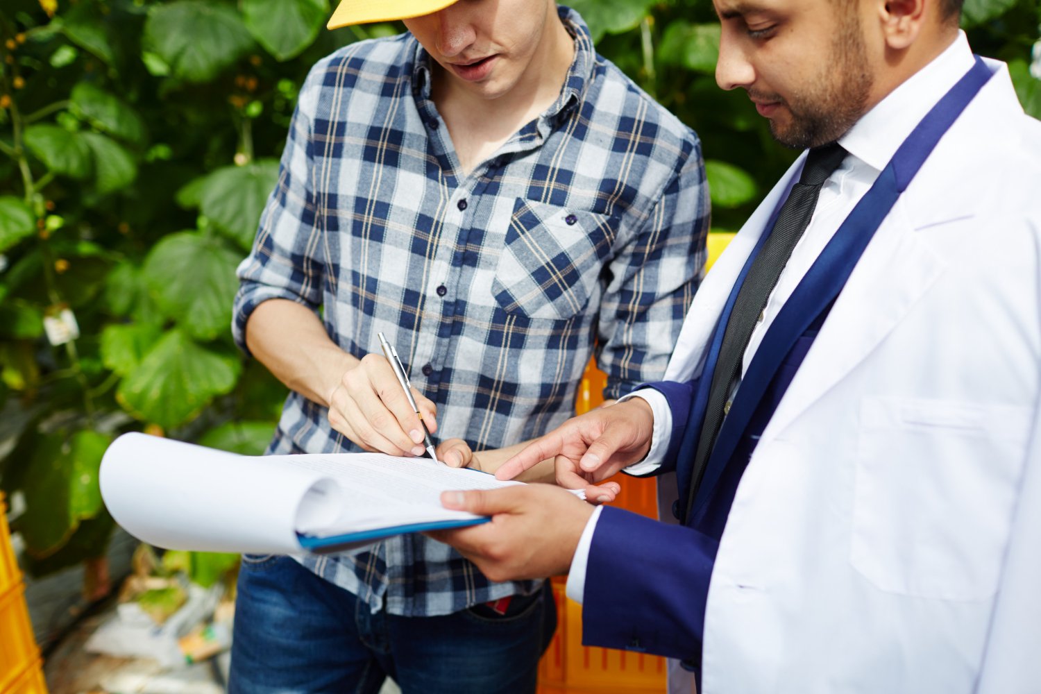 Máster en Legalización y Documentación de Instalaciones