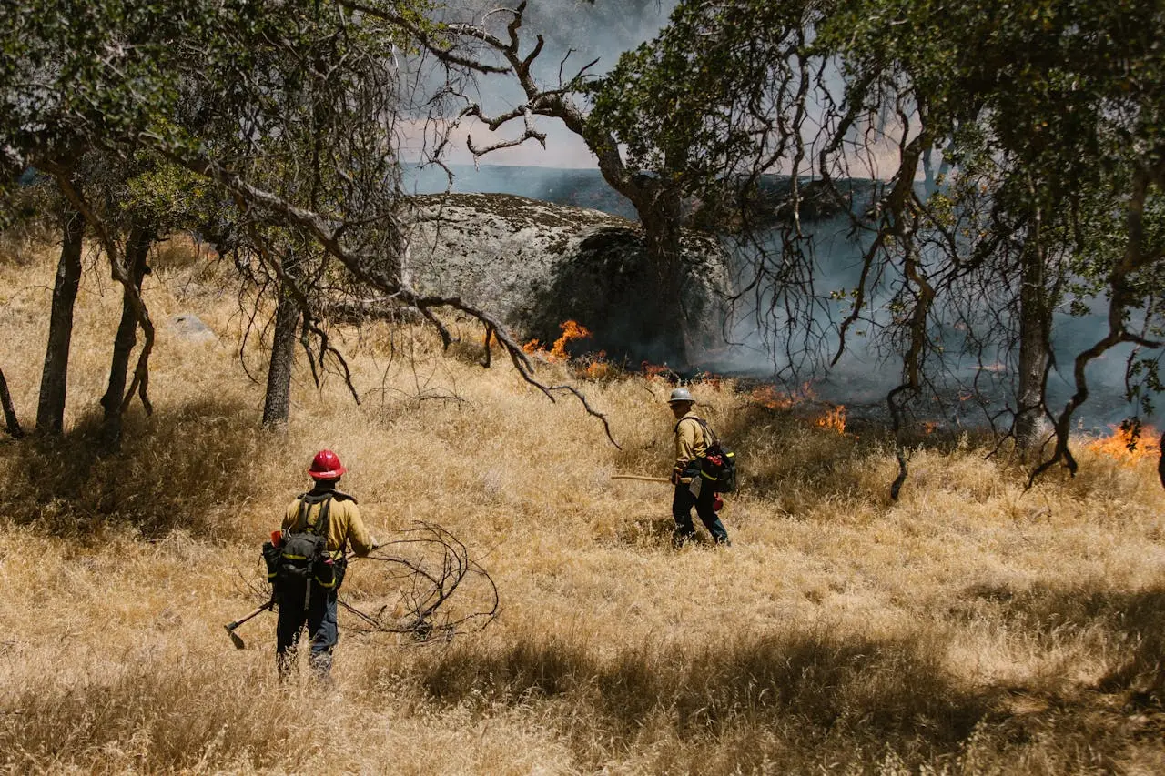 Curso en Protección Contra Incendios (PCI)