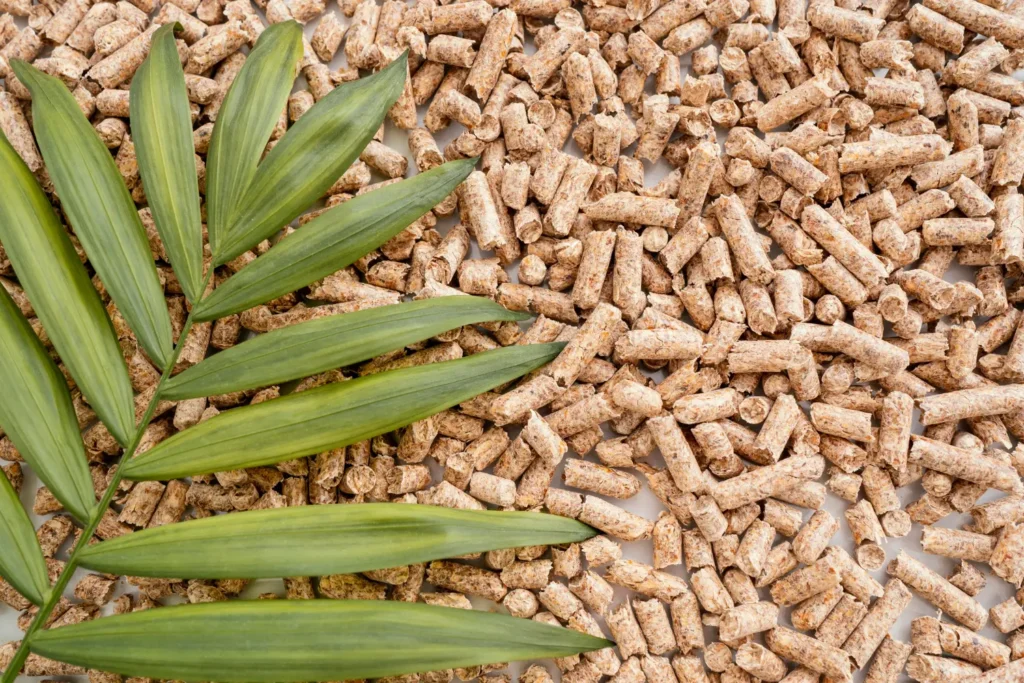 Diploma in Biomass and Biogas 3